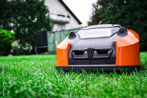 Lawn robot mows the lawn. Robotic Lawn Mower cutting grass in the garden.