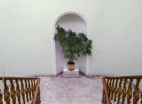 Принти на полотні Plant in the interior