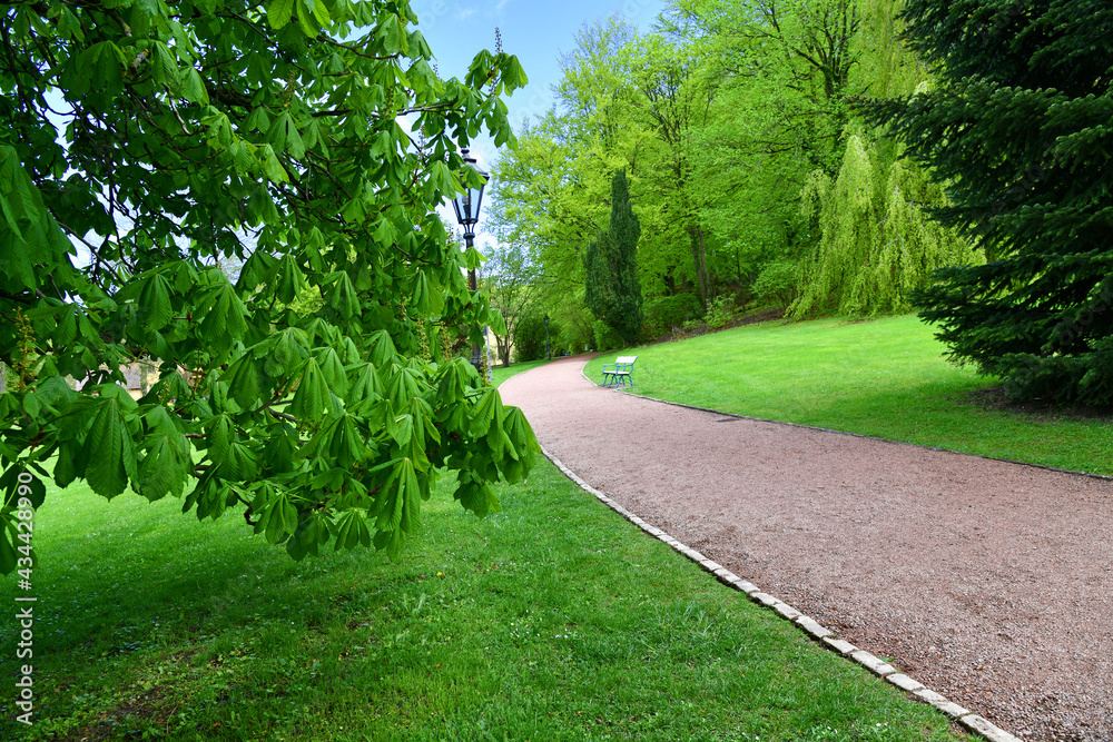 Spaziergang im Park Spaziergang im Park