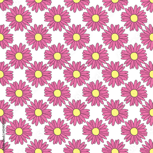 Vector white background pink daisy flowers and wild flowers. Seamless pattern background