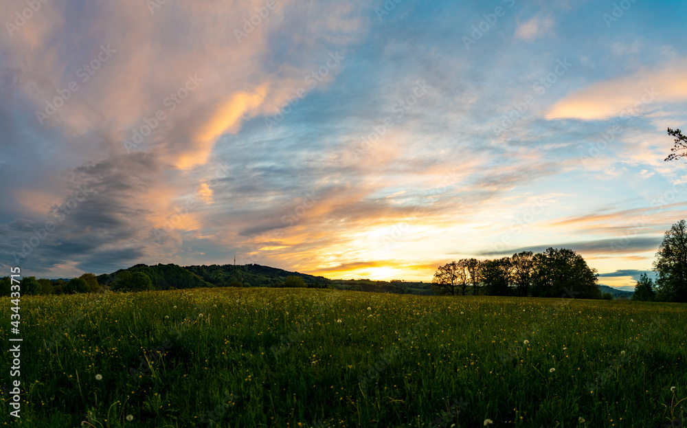 Blumenwiese, Hohenpeissenberg, Weilheim Schongau, Bayern, Oberbayern, Deutschland