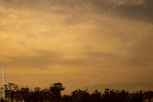 Landscapes.Forests.Sunset.Forest full of trees shot during the sunset with clouds in the sky and mountainthat looks so far.Forest during sunset.Clouds during sunset.Landscape with space for texts.