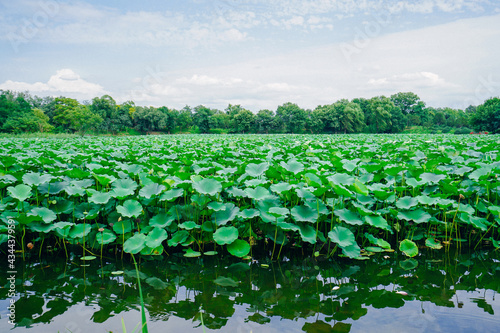 Beautiful Chinese Summer Palace scenery