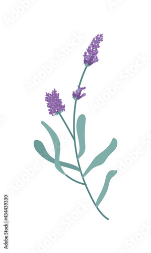 cute lavender branch flowers