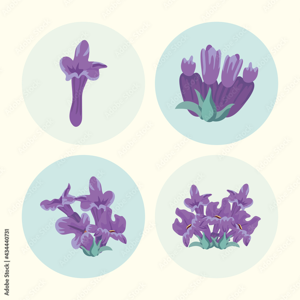 four lavender flowers