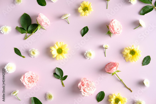 Floral composition on pink background. Roses, gren leaves and daisy flowers top view. Flat lay.
