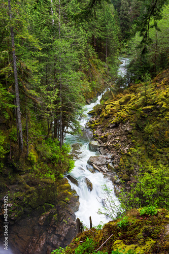Nooksack River running through a gorge between a forest and moss covered rocks