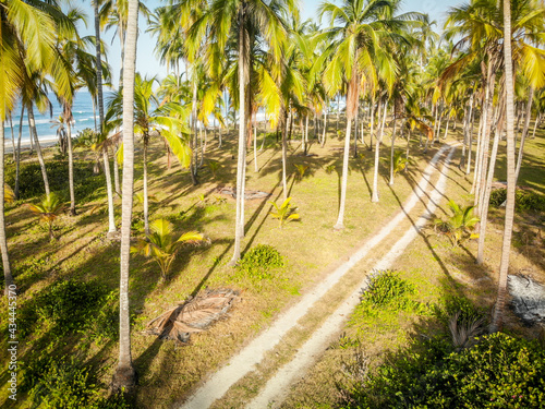 aerial views of Tayrona Park  Sierra nevada de Santa Marta  Colombia