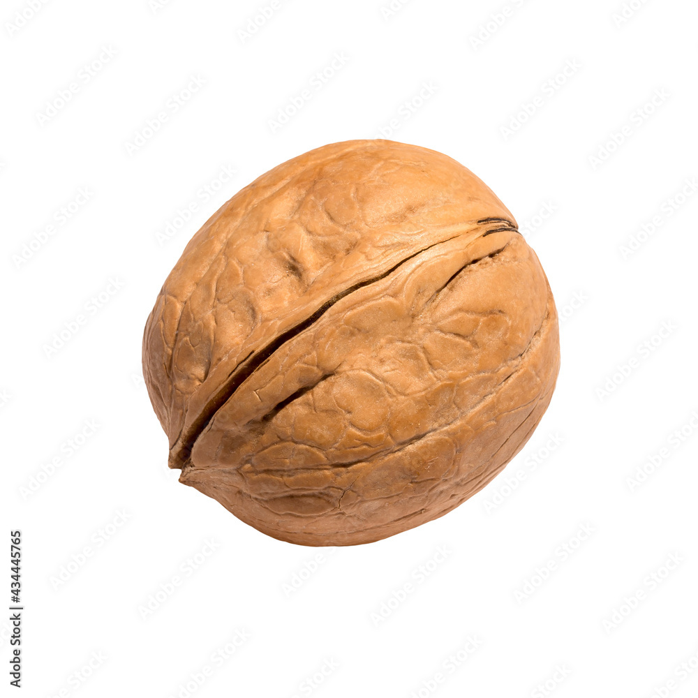 Isolated walnut in shell on white background