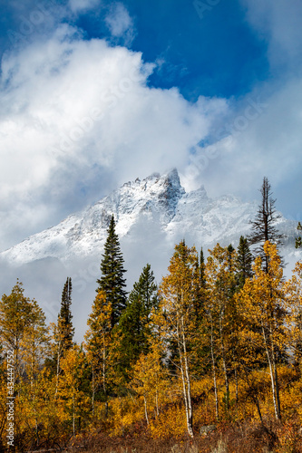 dramatic snow capped jagged peaks of Grand teton mountains surrounded by vibrant autumn foliage of aspen and birch trees in Wyoming.