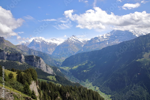 View of Wetterhorn  Schreckhorn and Eiger from Schynige Platte  Switzerland