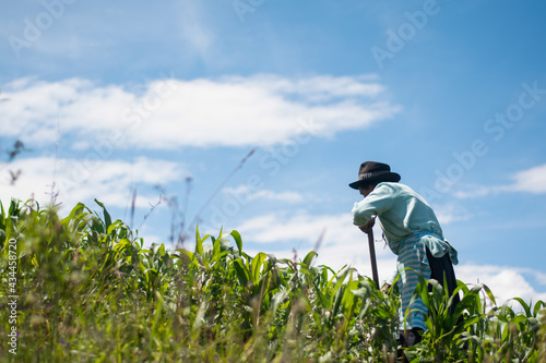 Mujer indigena trabajando en el campo bajo un sol fuerte photo