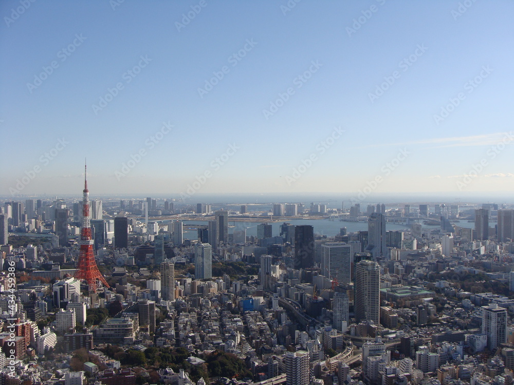 Fototapeta premium Tokyo City