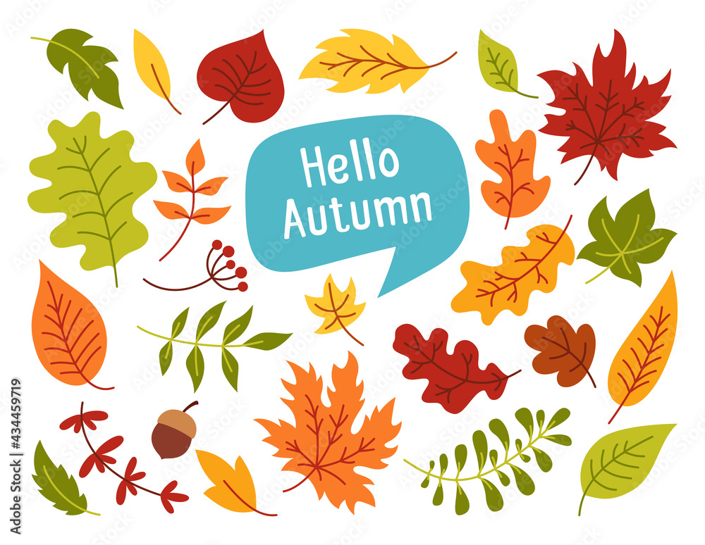Obraz premium Autumn leaves and berries, hand drawn colorful trendy cartoon set. Flat rustic leaf collection and speech bubble. Fall leave, sticker icons collection. Autumn clip art vector on white background