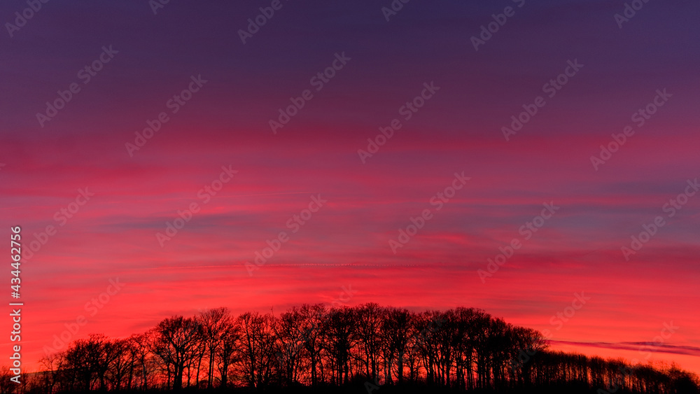 Ciel rougeoyant après un coucher de soleil avec arbres nus à contre jour