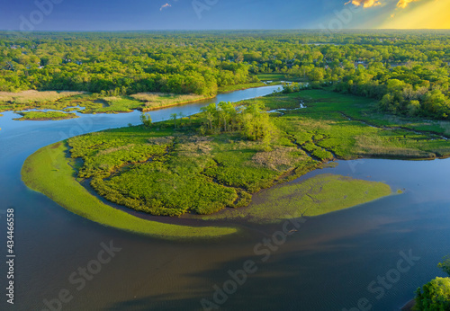 Aerial view of a green forest river in summer