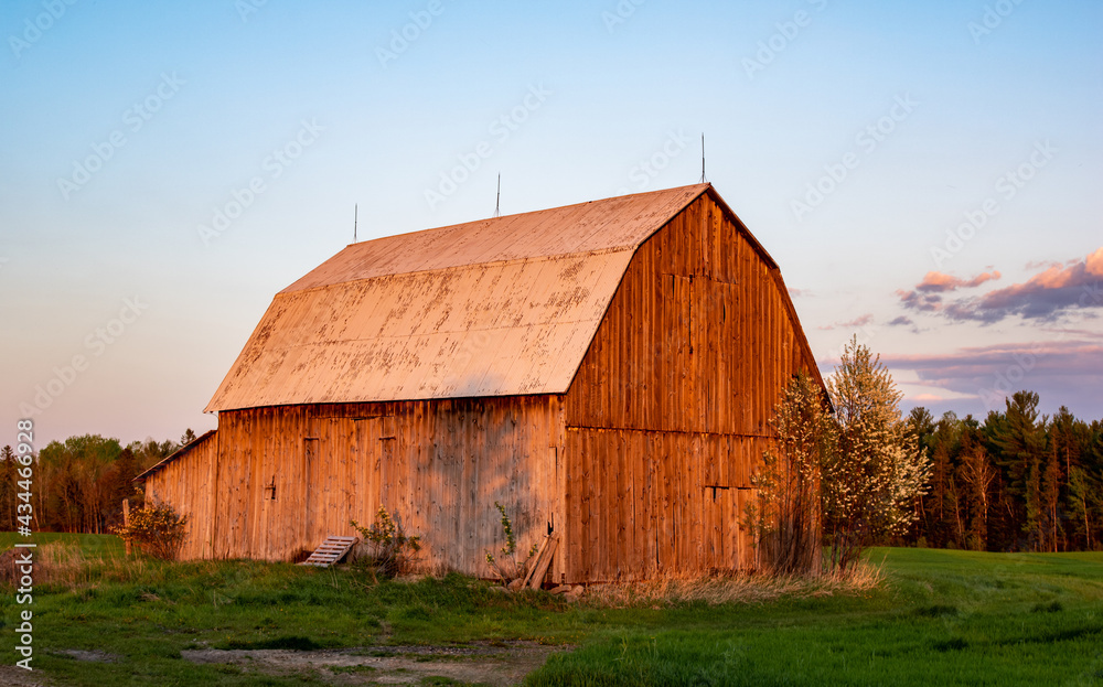Obraz premium Old barn in golden light