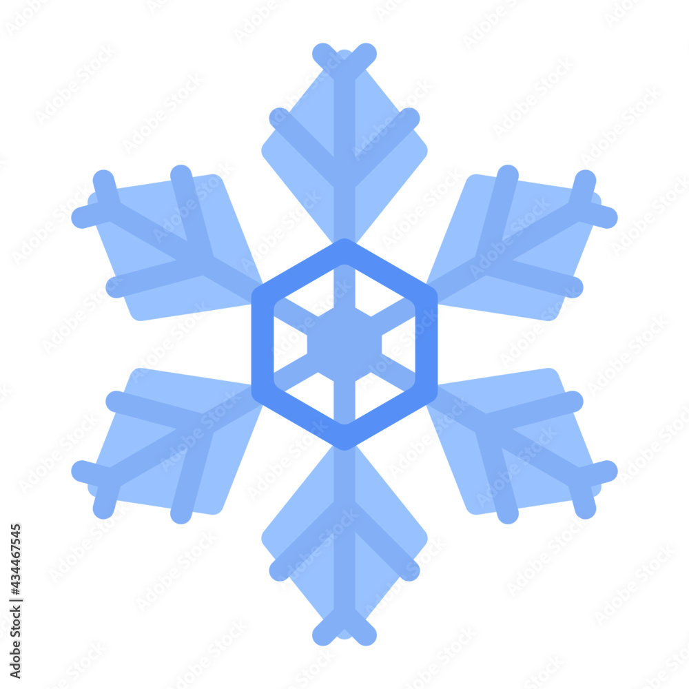 snowflake in winter using soft color and flat style snowflake in winter using soft color and flat style