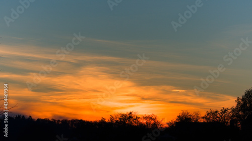 Coucher de soleil avec arbres en contre jour