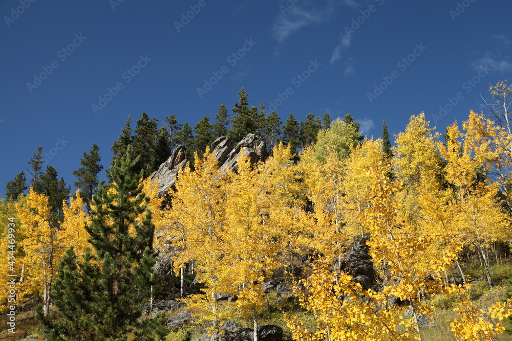 Fall colors in Bighorn Mountains, Wyoming