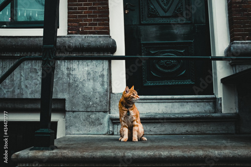 Photography Amsterdam