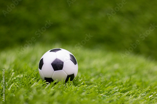 soccer ball on green grass © thaninee