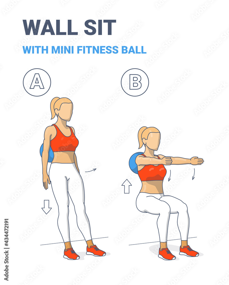 Sit and be fit exercise ball sale