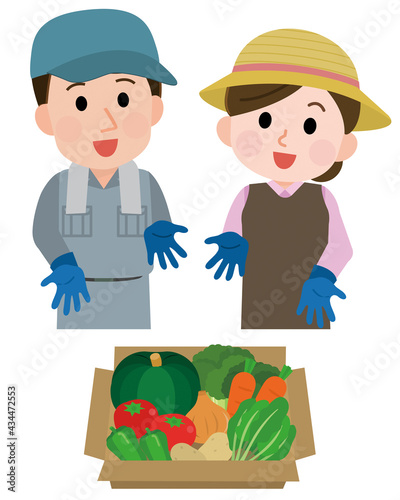 箱詰めした野菜を紹介する野菜農家の夫婦2　イラスト