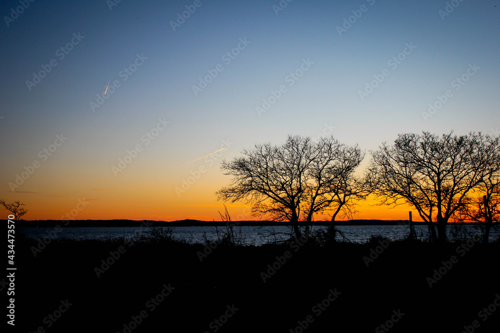 Sunset over trees