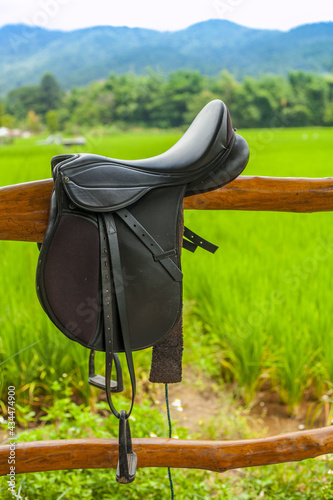 Black english style traditional dressage saddle on a bench outside near green plants