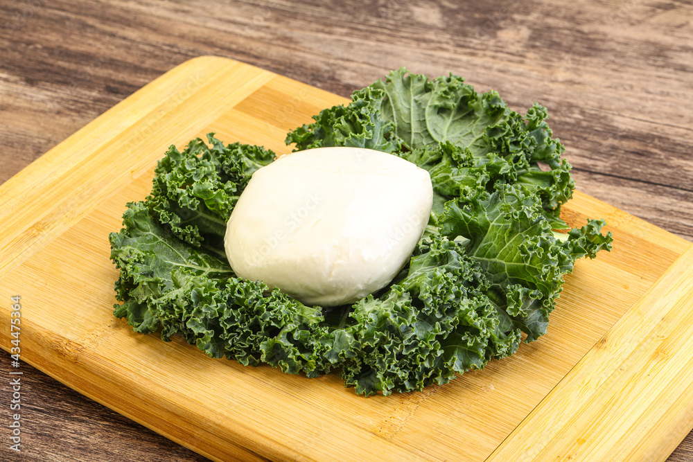 Soft mozzarella cheese over board Soft mozzarella cheese over board
