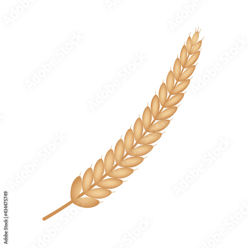 Cool and delicious baguette bread illustration, bread illustration vector