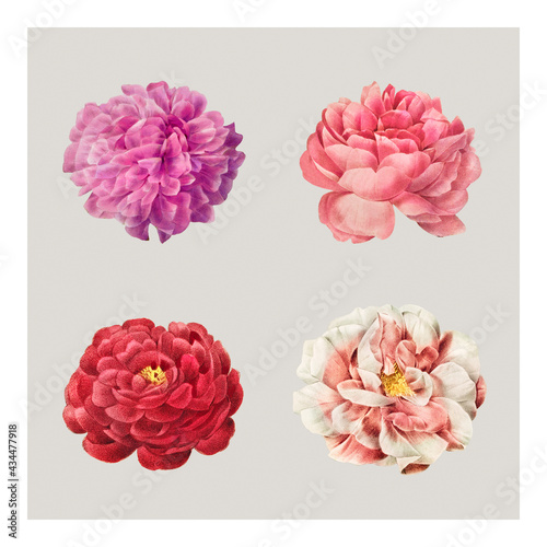 Vintage flowers remix wall art print and poster © Rawpixel.com