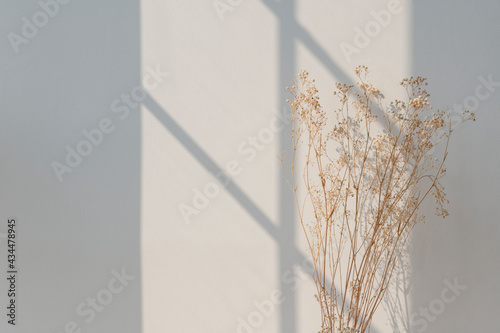 Dried gypsophila with window shadow on a beige wall photo