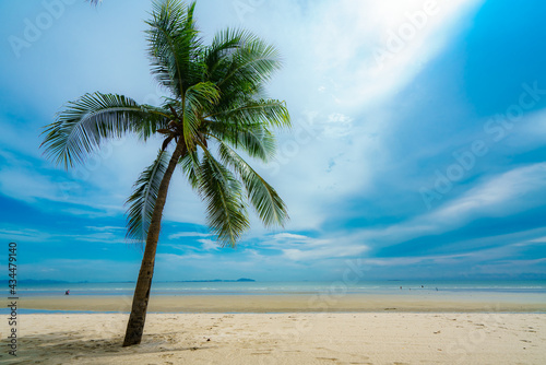Fototapeta Naklejka Na Ścianę i Meble -  Coconut tree alone on a sandy beach with sea horizon and blue sky