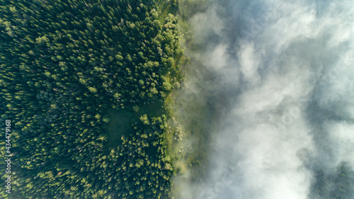 top view of a green forest with a bright blue river with fog and white clouds. photo wallpaper and promotional products for summer vacations and morning landscapes