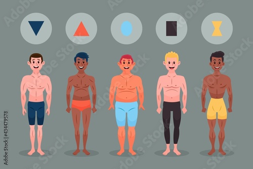 Fototapeta Naklejka Na Ścianę i Meble -  Cartoon Types Male Body Shapes Pack_3