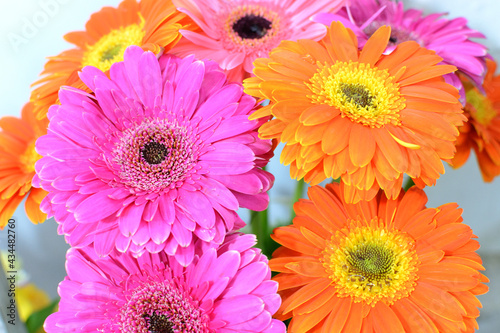 Daisies of various colors. Beautiful bouquet of flowers of different colors.