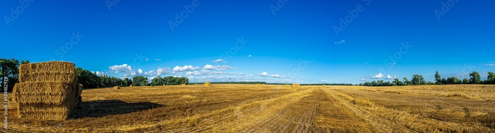 stubble field, sunny, landscape, countryside, nature, harvest, wheat, land, bale, agriculture, summer, yellow, crop, field, straw, sky, grain, farm, golden, rural, hay, meadow, grass, gold, stack, cou