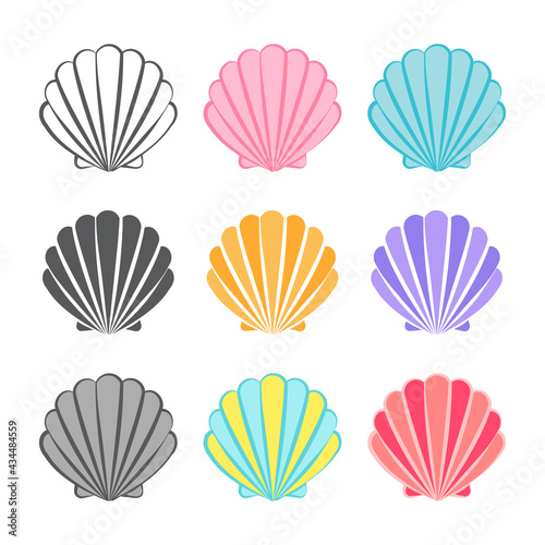 seashell, shell ,shellfish vector illustration and line icon