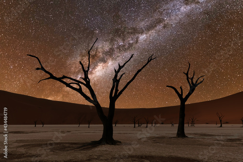 Dead trees at Deadvlei at night photo