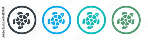 Vector of turtle on colorful design on a white background.