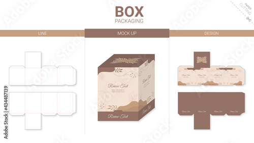 Box packaging and mockup die cut template