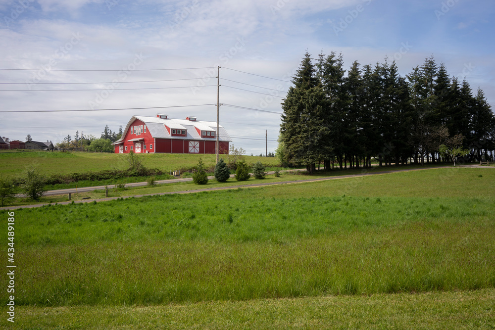 Idyllic country scene in a North American farm on a warm spring day.