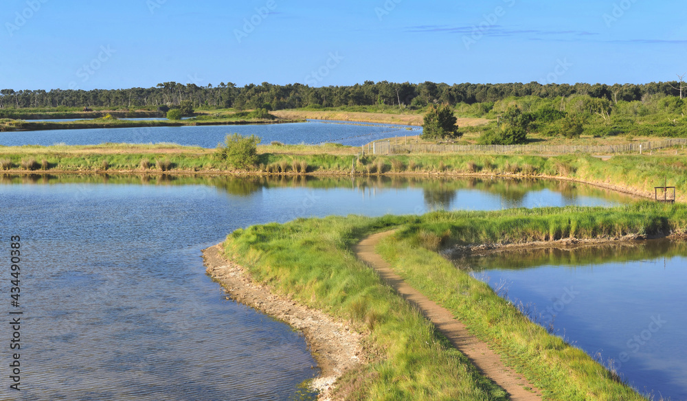 ancient seawater ponds for oyster farming and path in meadow ancient seawater ponds for oyster farming and path in meadow