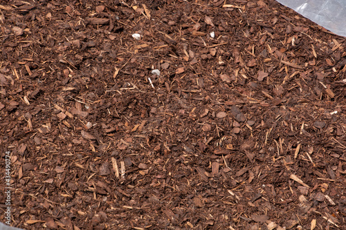 Mulching the garden with brown bark wood chip as water and weed protection