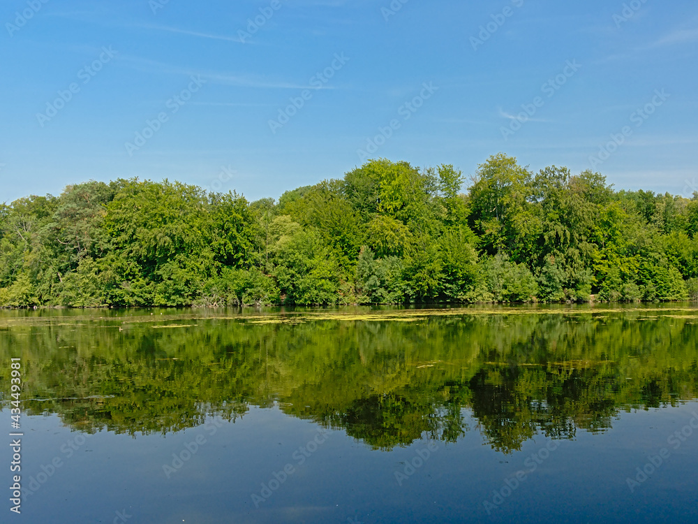 Sunny summer forest reflecting in the water of Comelles lake, Orry-la-Ville , Oise, France Sunny summer forest reflecting in the water of Comelles lake, Orry-la-Ville , Oise, France
