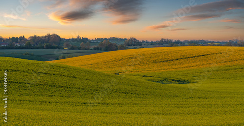 Panorama of the fields situated on undulating hills, reminiscent of the landscape of Italian Tuscany