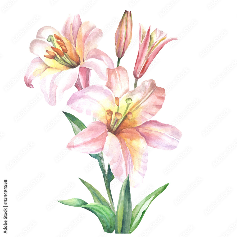 bouquet of pink lilies