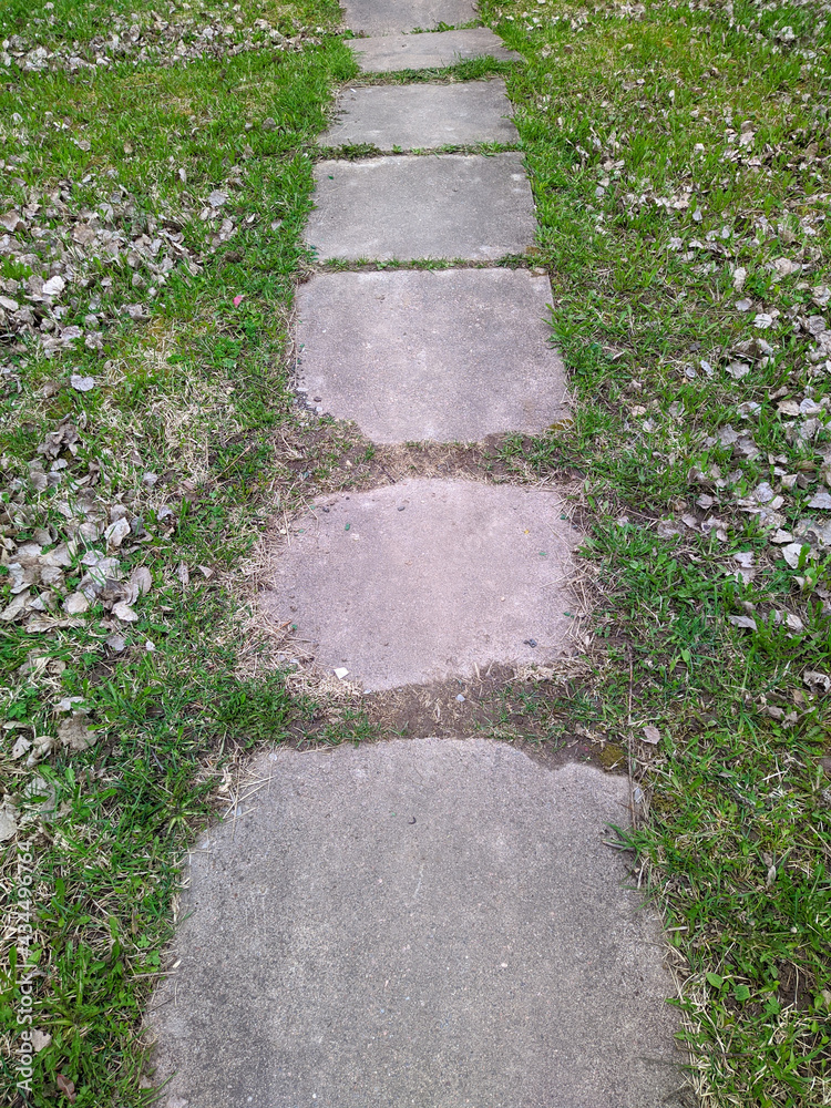path in the park is made of concrete square slabs